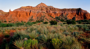 Registered Nurse - Med/Surg  in Amarillo, TX